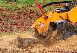 Best Lawn Mowing  in Somerset, NJ
