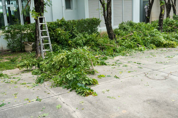 Lawn Pest Prevention in Somerset, NJ