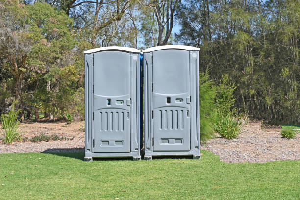 Best Pest Control for Lawns  in Somerset, NJ